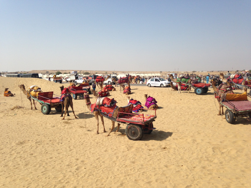 Camel Festival Jaisalmer