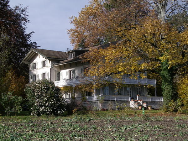 Grand Ermitage, Rolle