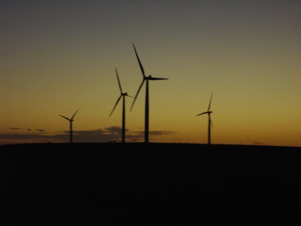 Windfarm near Cervantes