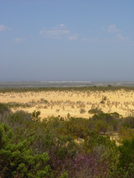 View of the Pinnacles Desert