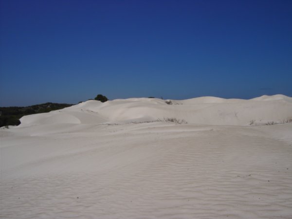 Sand dunes on the side of the road