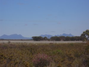 A change of scene in this flat land  the impressive Stirling Ranges in the background