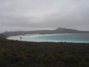 Some of the world’s best beaches, like Lucky Bay are in Cape Le Grand, near Esperance