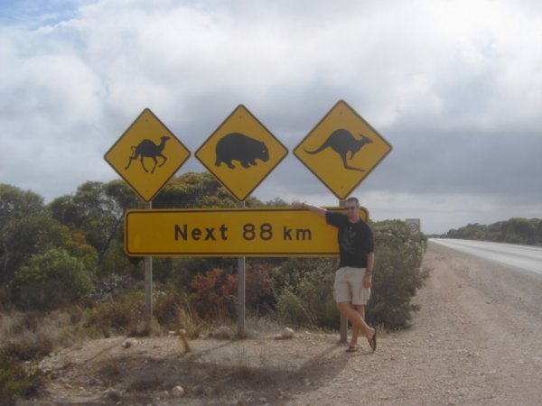 Camels, wombats and roos... interesting mix