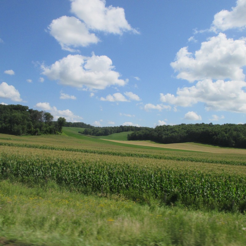 Minnesota Farmland