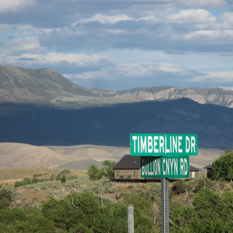 Remembering Home on Timberline Drive