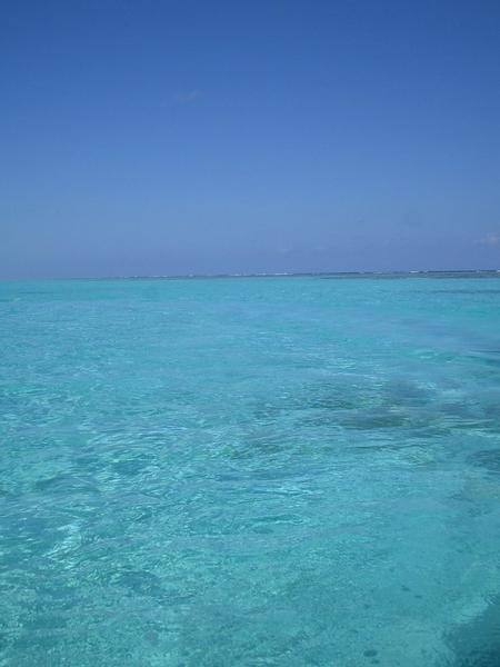 Snorkelling, Caye Caulker, Belize 