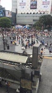 Crosswalk at Shibuya