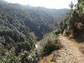 Fieldwork in Uttarakhand