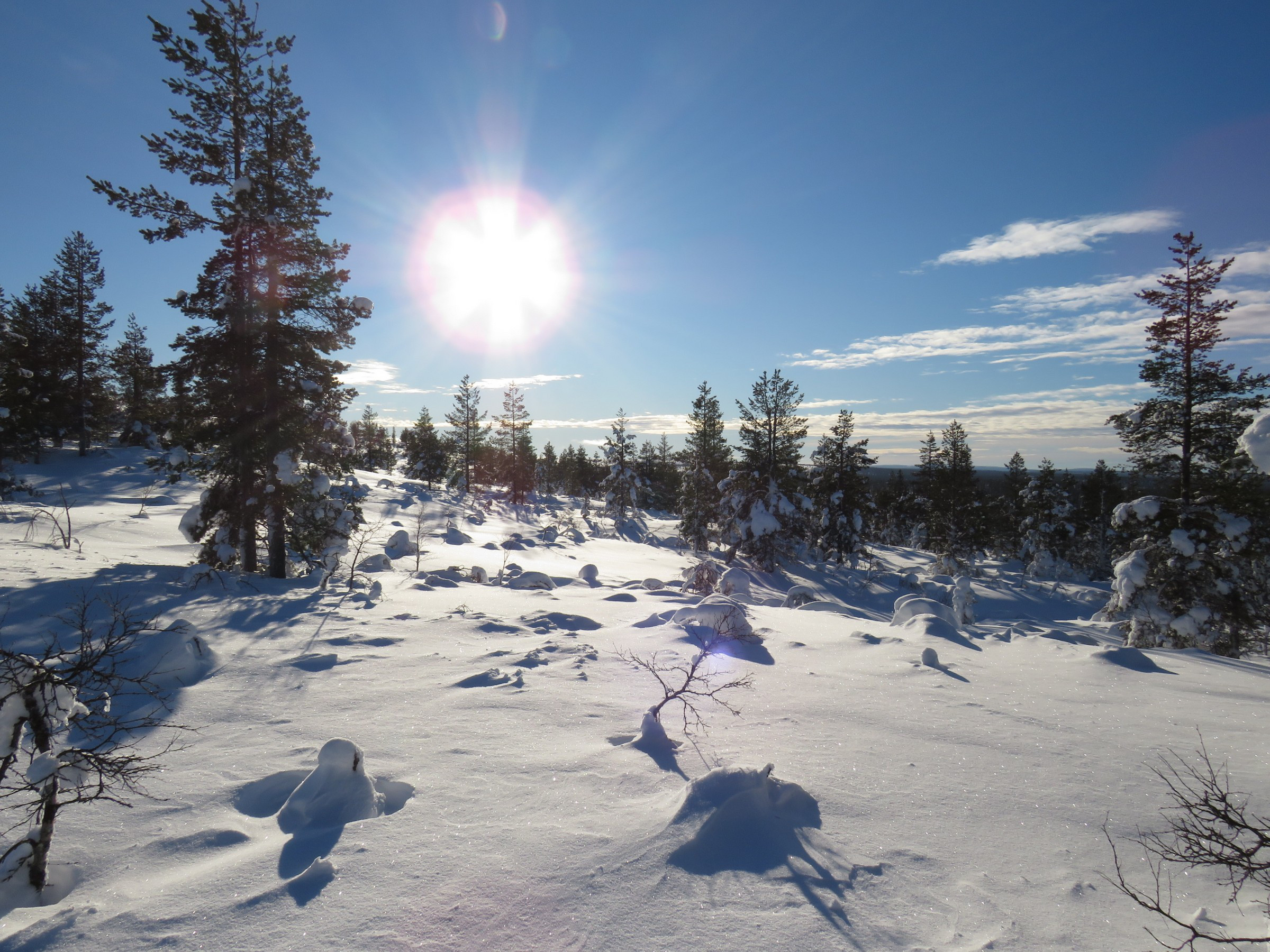 Urho Kekkonen National Park | Photo