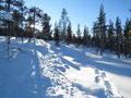 Urho Kekkonen National Park