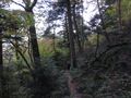 Hiking down Mt Ishizuchi