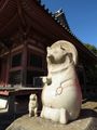 Sacred badger at Konpira Shrine
