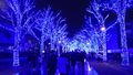Tokyo Christmas Lights