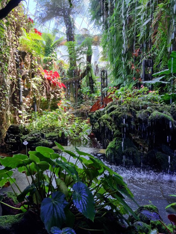 Inside the Cloud Forest greenhouse at Gardens by the Bay