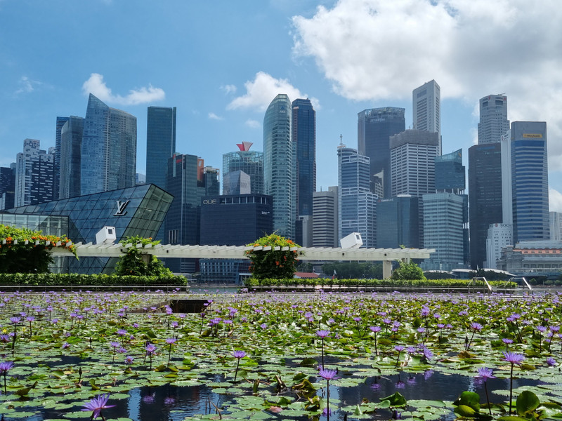 View of the business district from under the big lotus flower museum