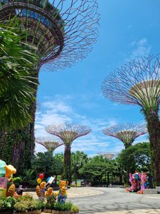 Sky Trees at Gardens by the Bay