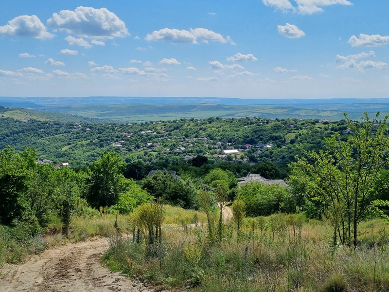 View from Bălănești Hill looking towards Romania