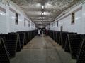 Sparkling wine tunnels of Cricova Winery