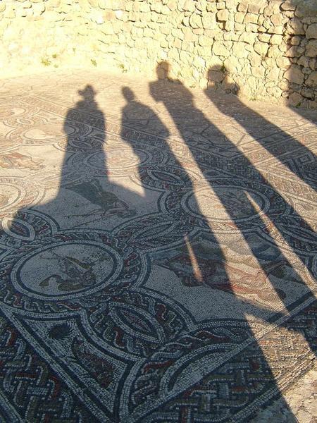 Roman Mosaics at Volubilis