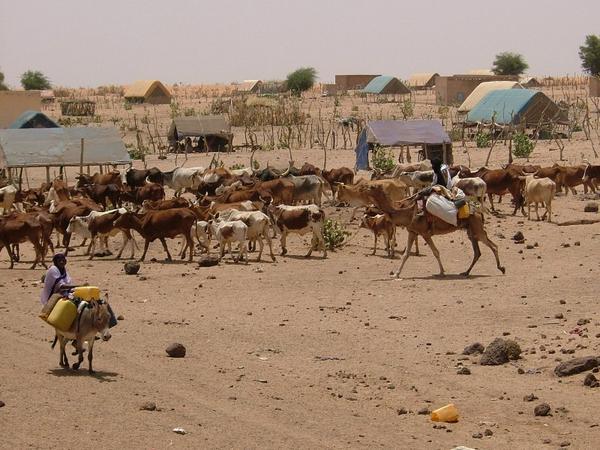 A Typical Mauritanian Scene