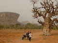 Bandiagara Escarpment and a Baobab Tree