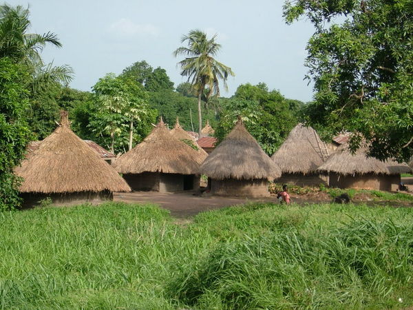 Village Near Makurdi