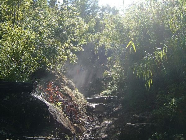 The Steamy Path Up