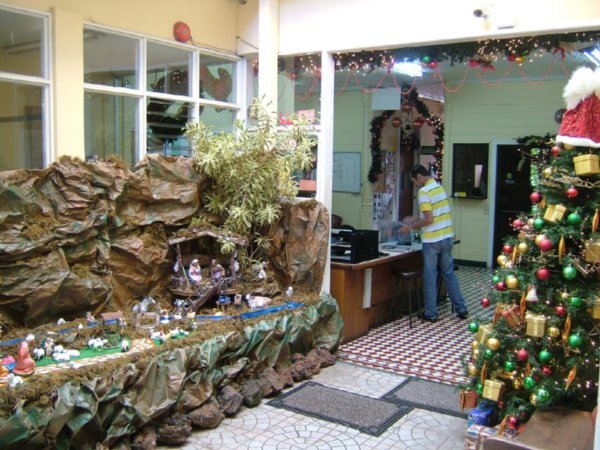 The School's Christmas Decorations