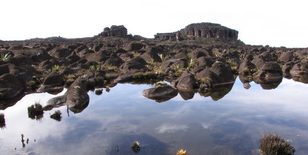 Crystal Clear Pools on the top of Roraima