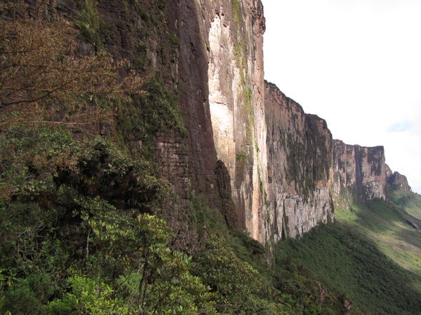 The Vertical Cliffs of Roraima