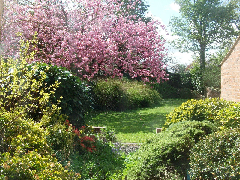 My garden in April