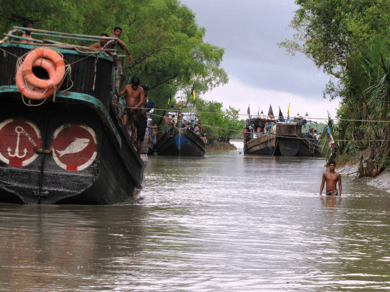 Fishing Boats Shelter in the Sundarbans