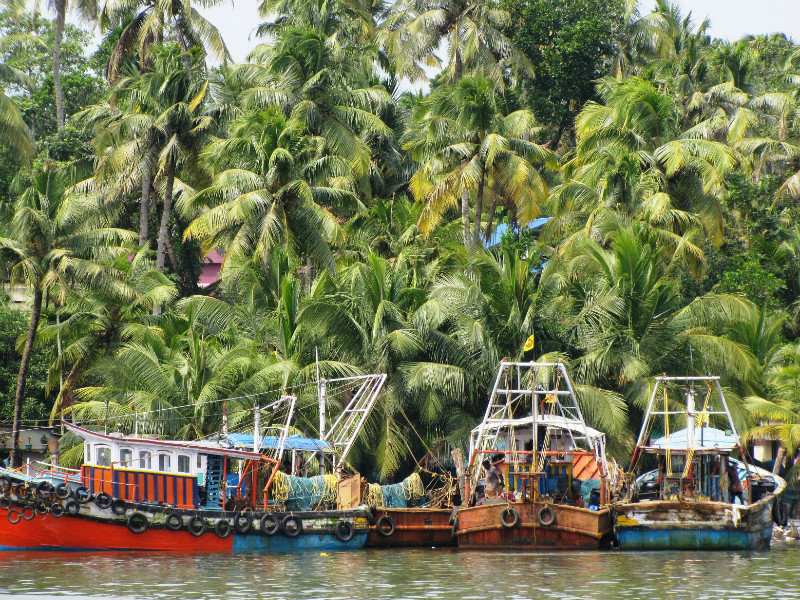 Kerala's Backwaters near Kollam