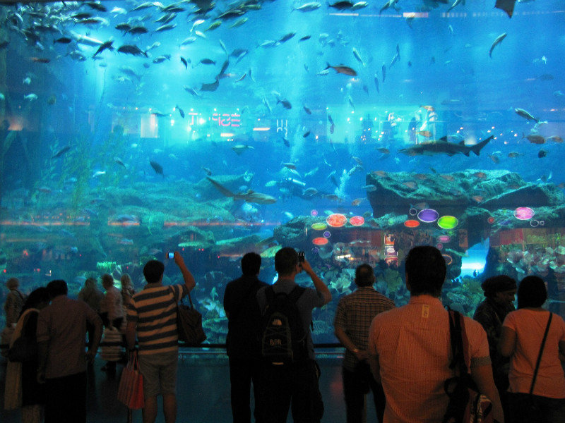 The Aquarium in Dubai Mall