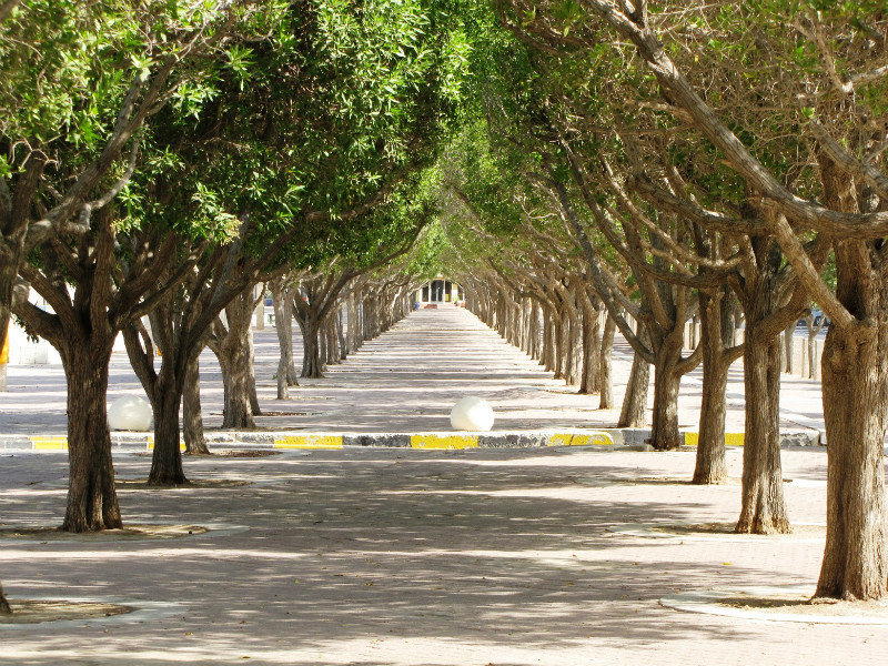 Shady Grove, Kuwait City