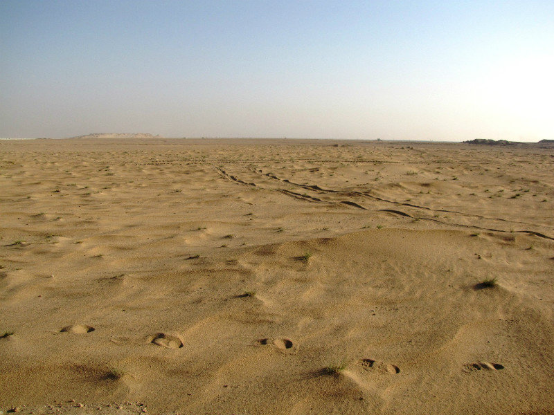 The Kuwait Desert