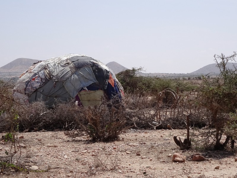 Nomad's tent 