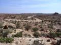 Somali desert