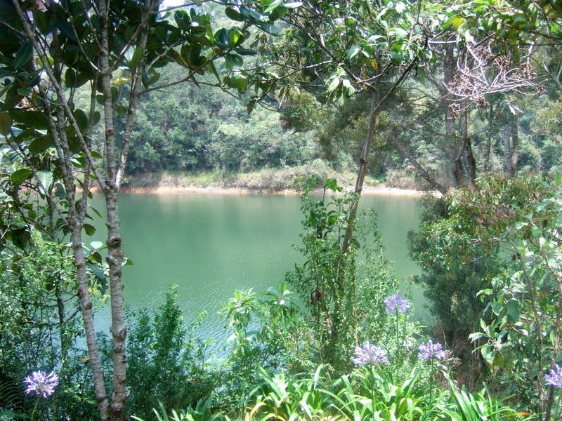 Artificial lake, Parque Arvi
