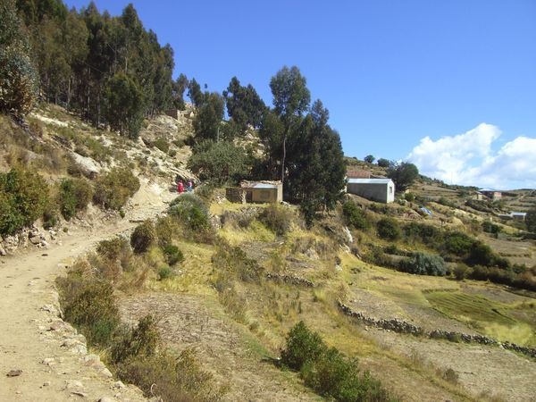 Inca trail on Isla del Sol
