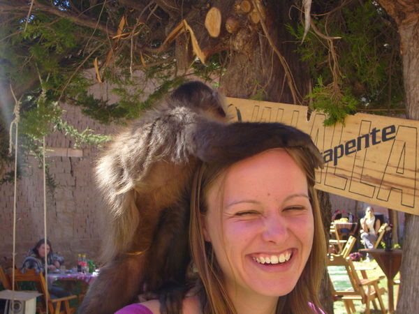 Sam J with monkey