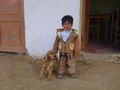 little boy with his dog