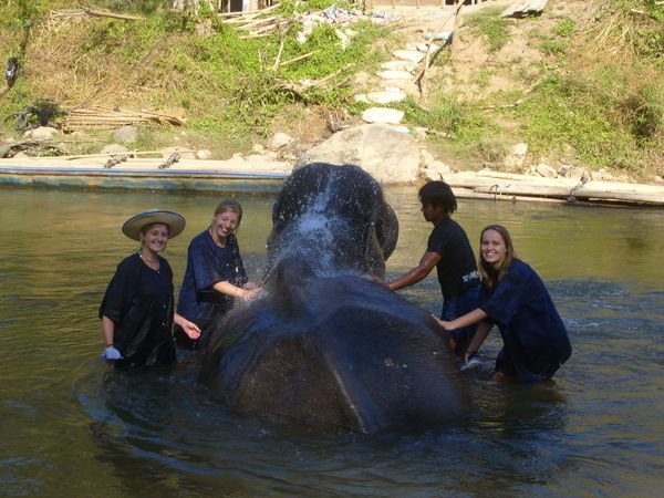 Us washing elephant