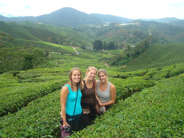 Us at Boh Tea Plantation