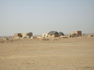 Local Villiage in the desert