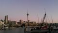 Aucklands tolle Skyline vom Hafen aus