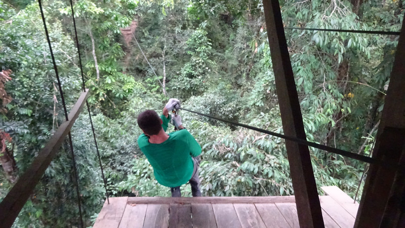 zip line out of tree house