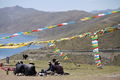 Tibetans enjoying the view while eating their favorite yak butter + barley flower snack with butter tea.