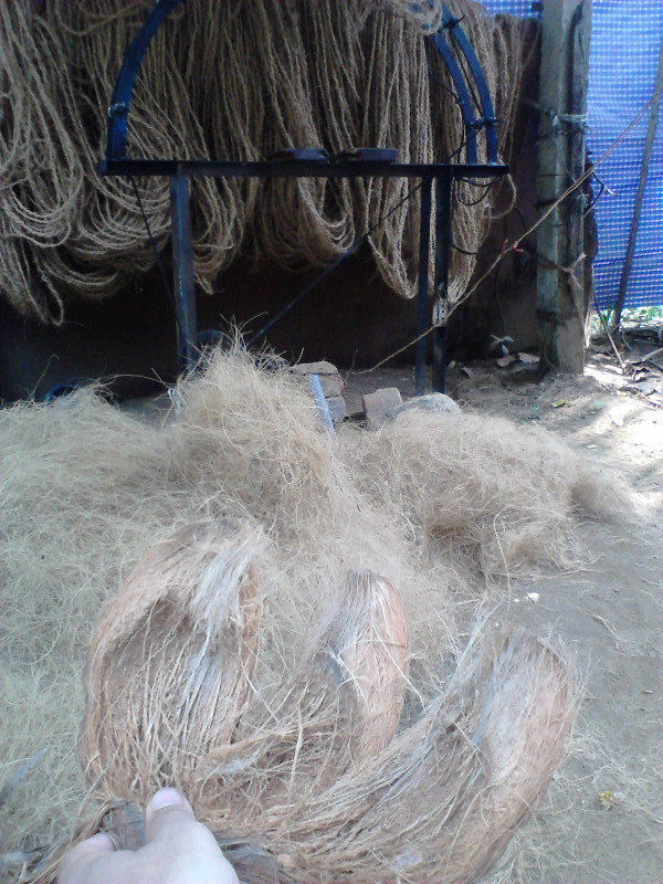 Da fibra de coco se fazem cordas!